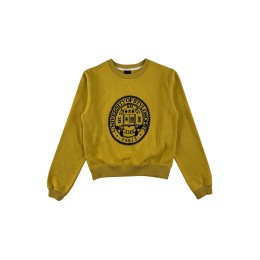 Design short women's round neck sweatshirt customized school sweatshirt yellow university of stylosophy winter warm sweatshirt sweatshirt supplier Z650 Design short women's round neck sweatshirt customized school sweatshirt yellow university of stylosophy winter warm sweatshirt sweatshirt supplier Z650